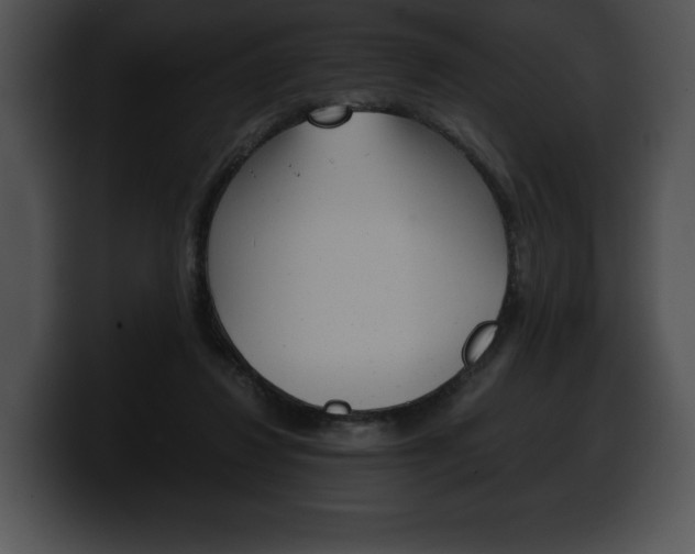 X0000100500260200806130735