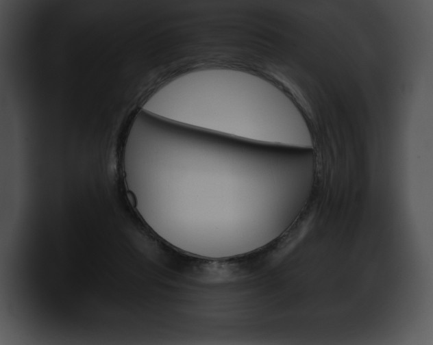 X0000100500261200806130735