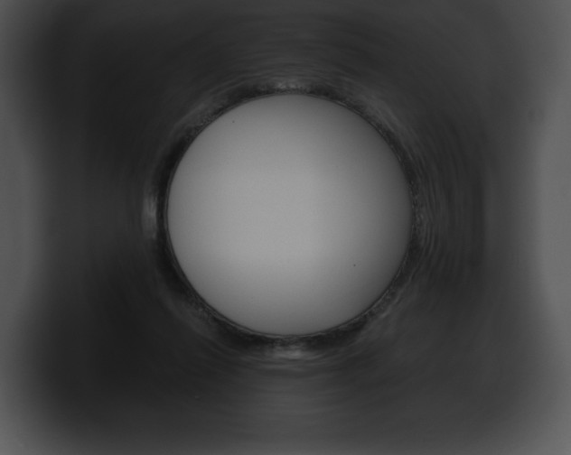 X0000100500262200806130735