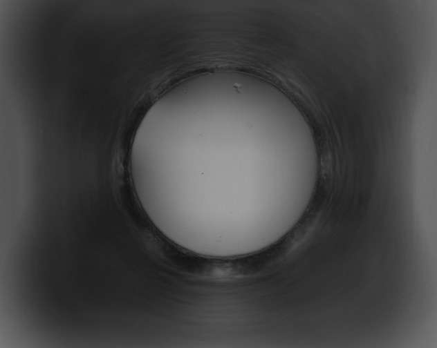 X0000100500264200806130735