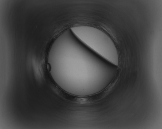 X0000100500265200806130735