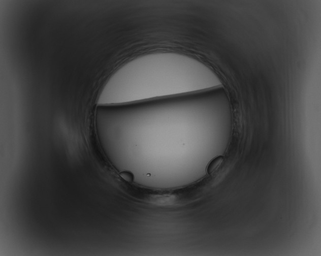 X0000100500266200806130735