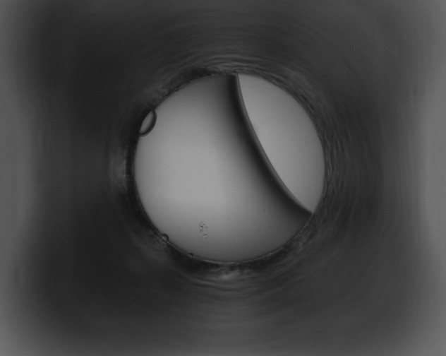 X0000100500267200806130735