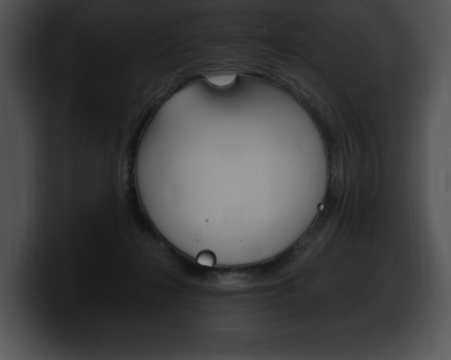 X0000100500268200806130735