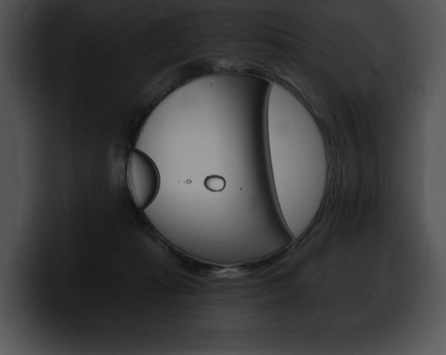 X0000100500269200806130735