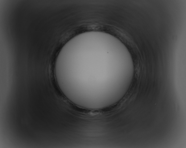 X0000100500270200806130735