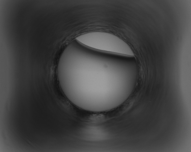 X0000100500271200806130735