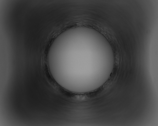 X0000100500272200806130735