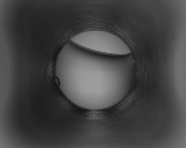 X0000100500273200806130735