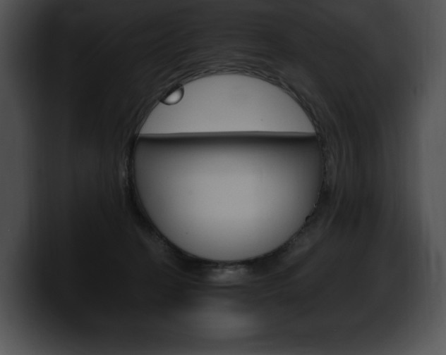 X0000100500274200806130735