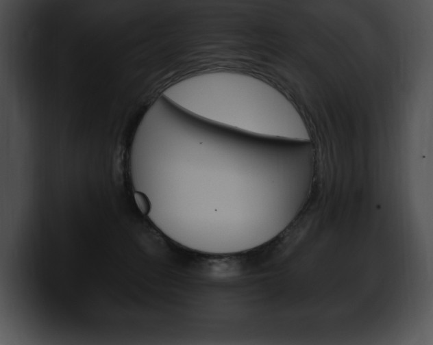 X0000100500275200806130735