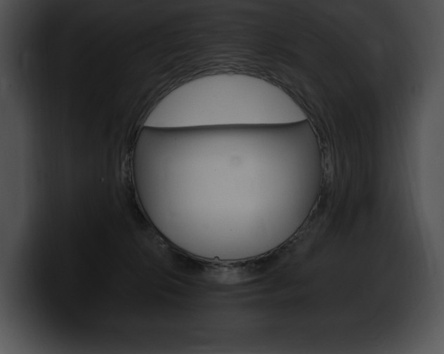 X0000100500276200806130735