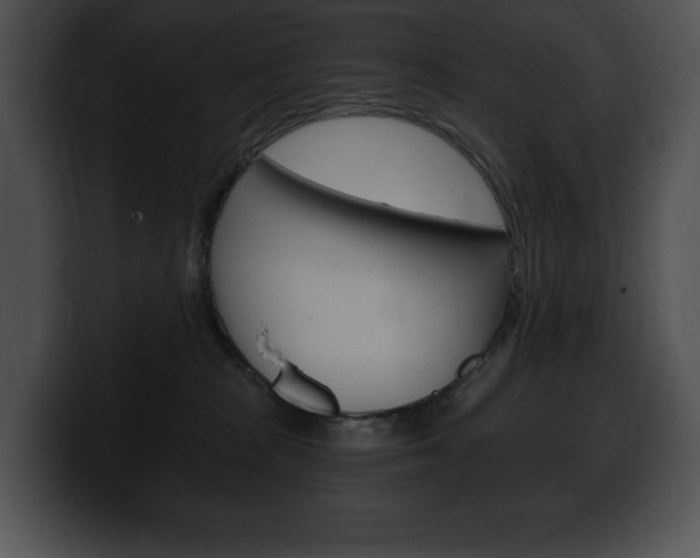 X0000100500277200806130735