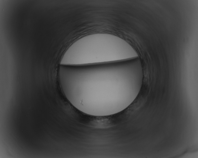 X0000100500278200806130735