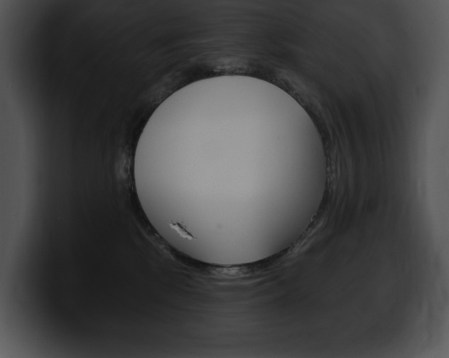 X0000100500281200806130735