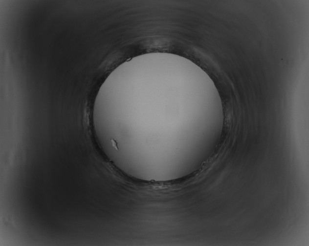 X0000100500282200806130735