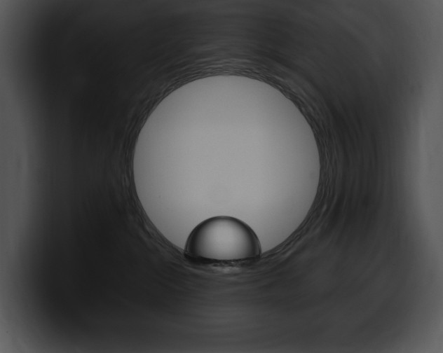 X0000100500284200806130736