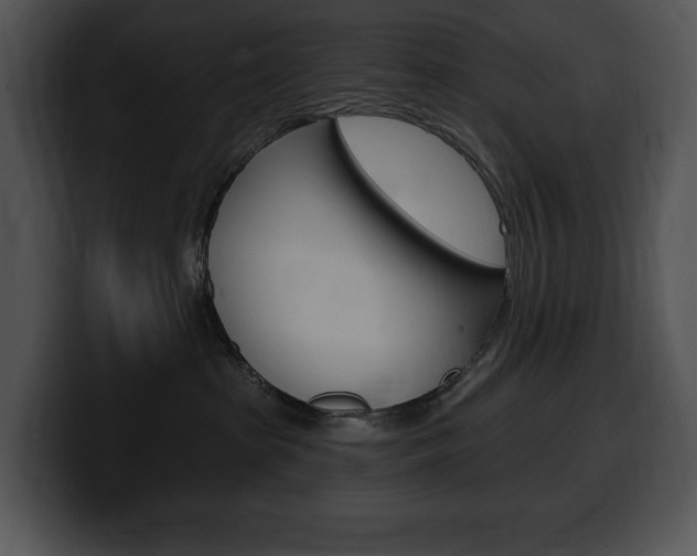 X0000100500285200806130736