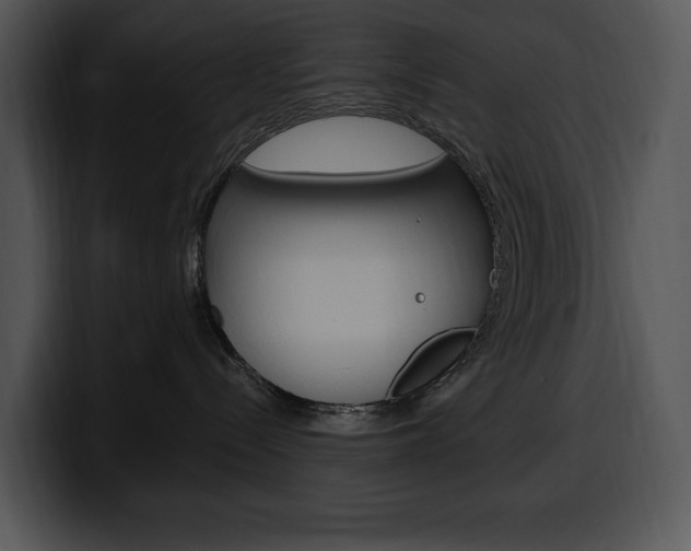 X0000100500288200806130736