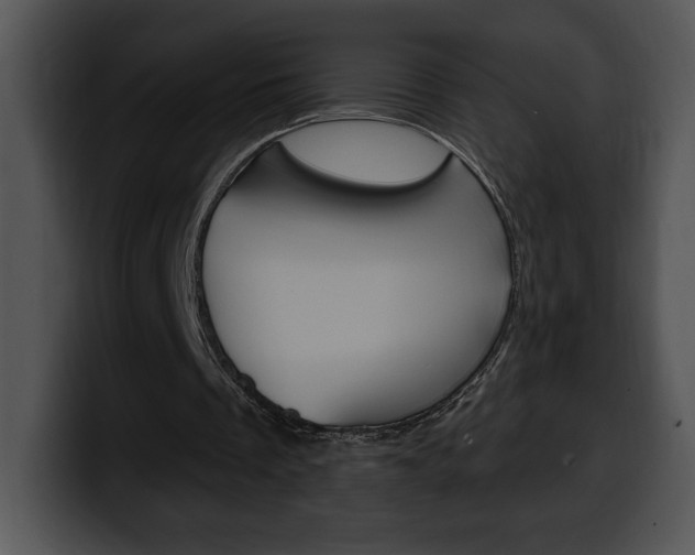 X0000100500289200806130735