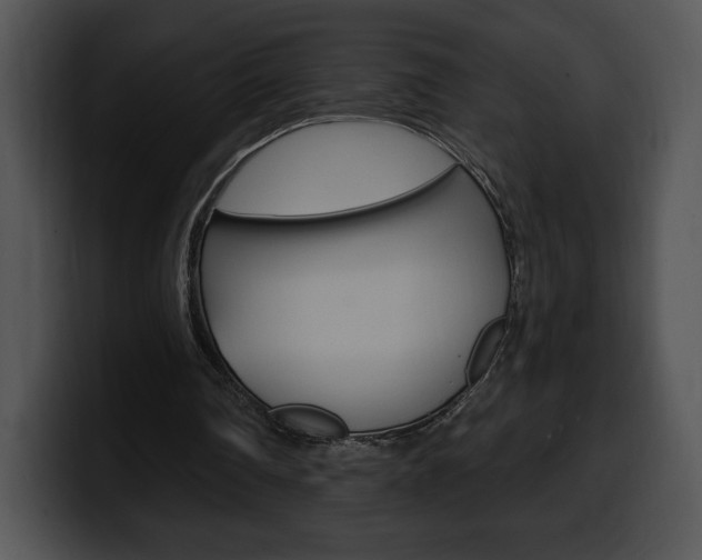 X0000100500290200806130735