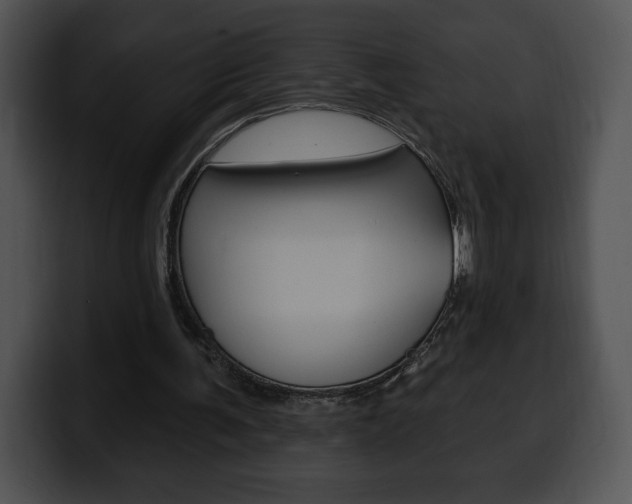 X0000100500291200806130735