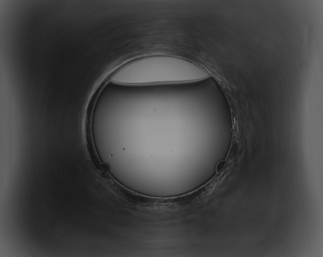 X0000100500292200806130735