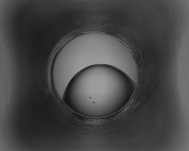 X0000100500293200806130735