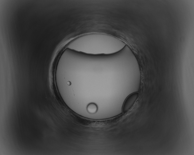 X0000100500294200806130735