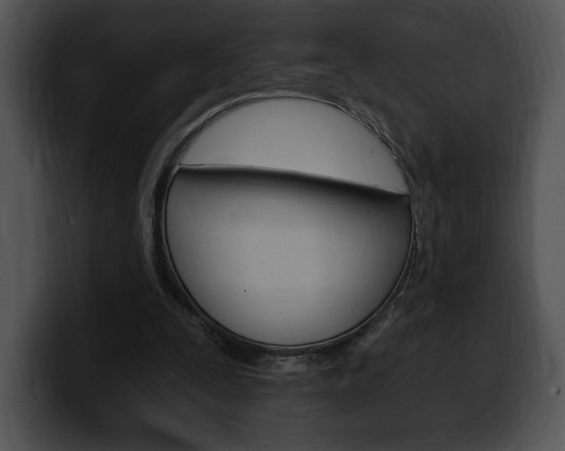 X0000100500295200806130735