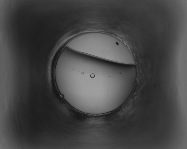 X0000100500296200806130735