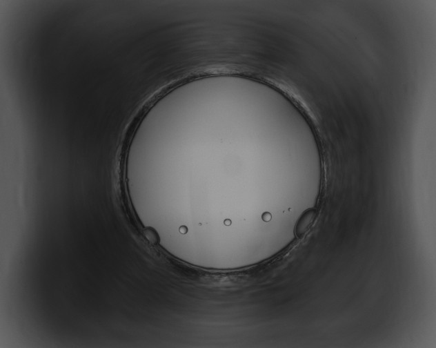 X0000100500297200806130735