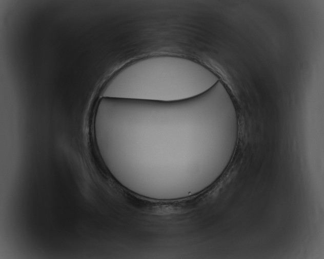 X0000100500298200806130735