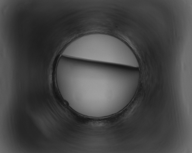 X0000100500299200806130735