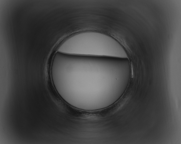 X0000100500300200806130735