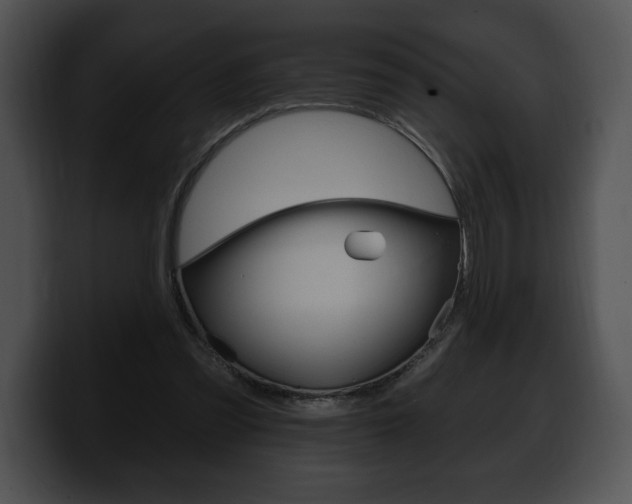 X0000100500301200806130735