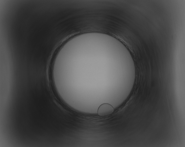 X0000100500302200806130735