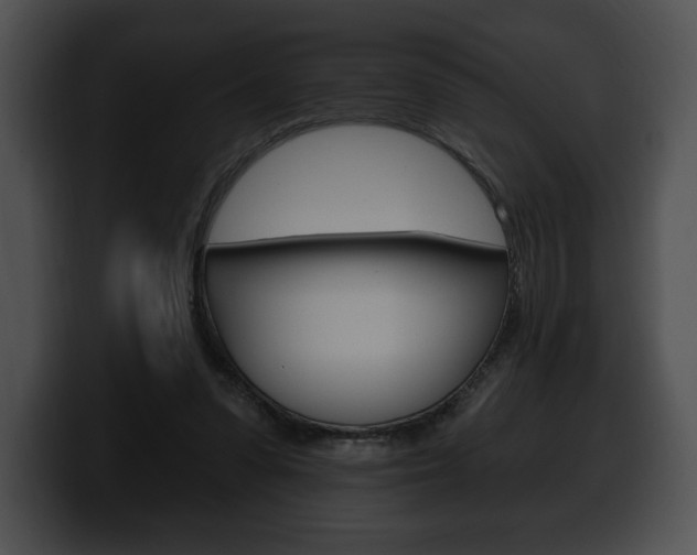 X0000100500303200806130735