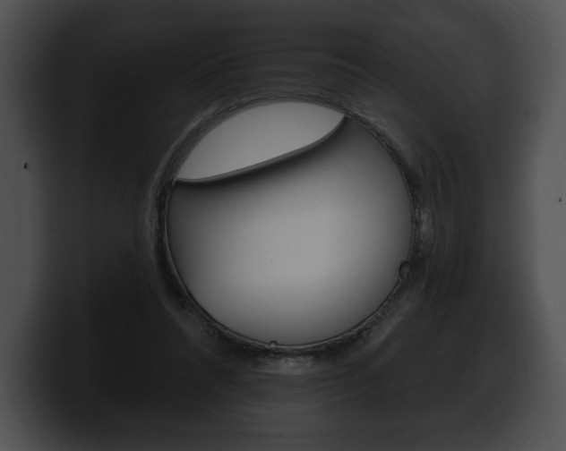 X0000100500304200806130735