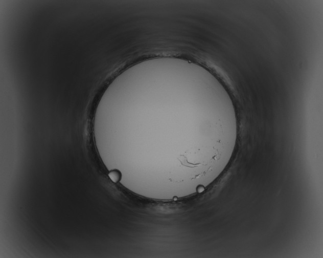 X0000100500305200806130735