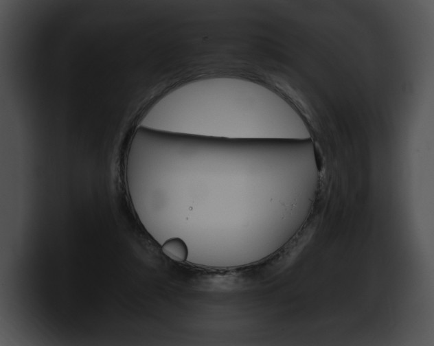 X0000100500306200806130735