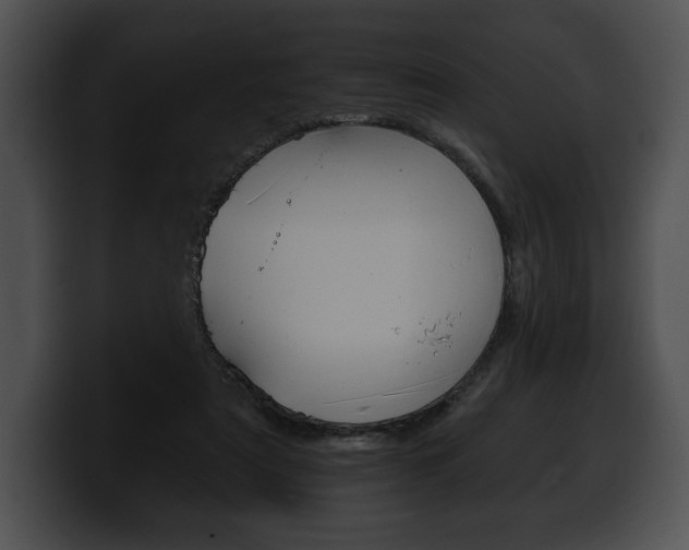 X0000100500307200806130735