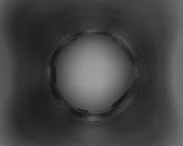 X0000100500308200806130735