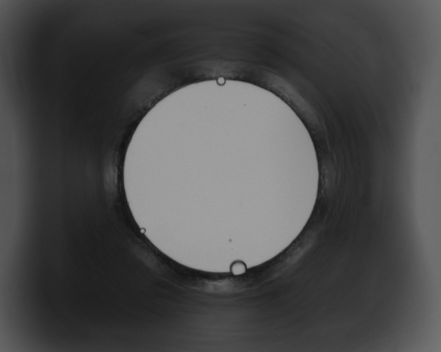 X0000100500309200806130735