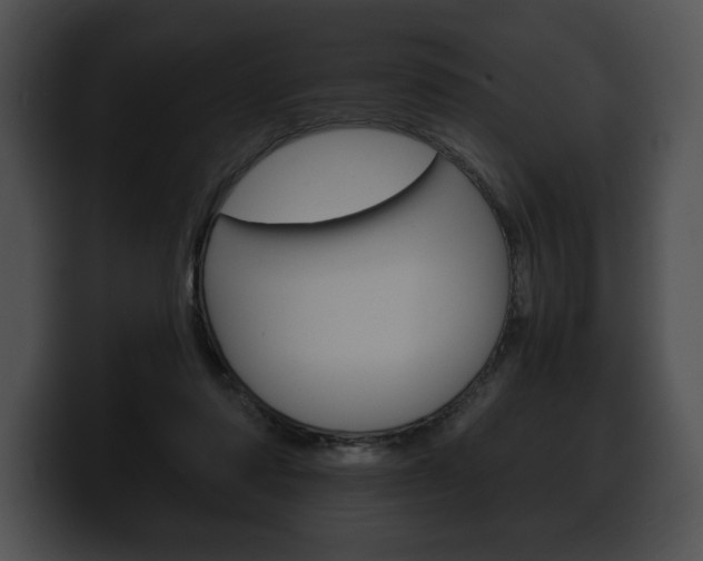 X0000100500310200806130735