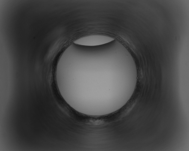 X0000100500311200806130735