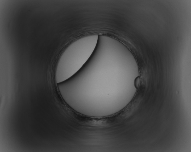 X0000100500314200806130735