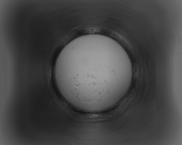 X0000100500315200806130735