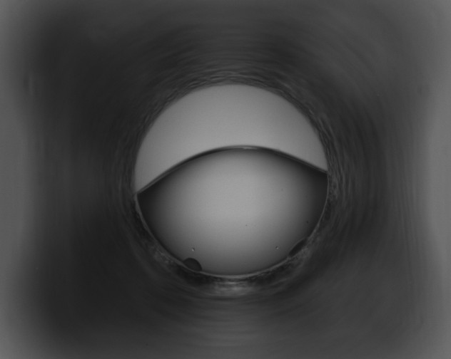 X0000100500316200806130735