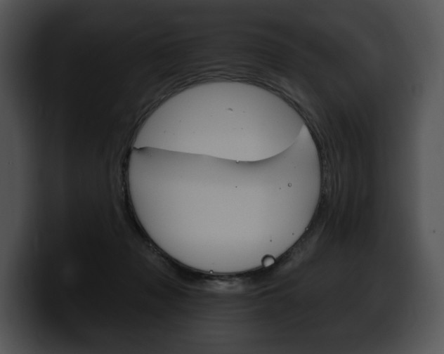 X0000100500317200806130735